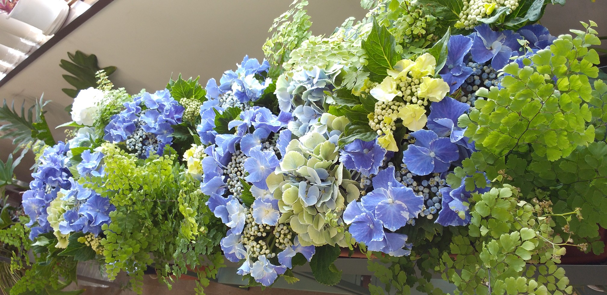 お花通信